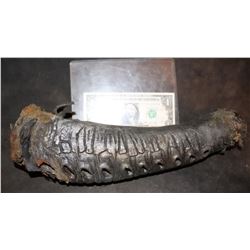 ALIEN VS PREDATOR SCREEN USED HORN 4