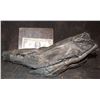 Image 2 : ALIEN VS PREDATOR SCREEN USED STUNT FOOT 1