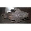 Image 3 : ALIEN VS PREDATOR SCREEN USED STUNT FOOT 2