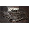 Image 1 : ALIEN VS PREDATOR SCREEN USED STUNT FOOT 4