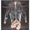 Image 2 : CREATURE SUIT FROM UNKNOWN PRODUCTION