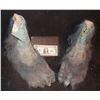 Image 1 : EVOLUTION BLUE PRIMATE FEET MATCHED PAIR 2