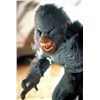 Image 5 : EVOLUTION BLUE PRIMATE SCREEN USED HERO ANIMATRONIC HEAD WITH MECHANISMS INTACT