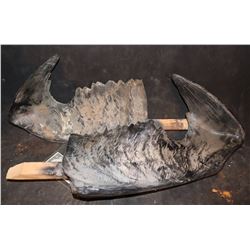 TREMORS GRABOID SET OF LOWER HOOK JAWS