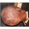 Image 4 : SEVERED SILICONE BLACK MAN HEAD WITH MOUTH OPEN MICHAEL CLARK DUNCAN?