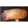 Image 2 : SEVERED SILICONE LEG DIRTY BUT NICE CONDITION AND GORE