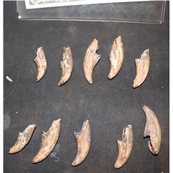 X-MEN ORIGINS SABRETOOTH SCREEN USED COMPLETE SET OF STUNT FOAM CLAWS