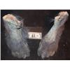 Image 1 : EVOLUTION BLUE PRIMATE FEET MATCHED PAIR 1