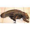 Image 4 : ALIENS COMPLETE XENOMORPH ALIEN WARRIOR SUIT USED IN PROMOTION
