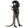 Image 8 : ALIENS COMPLETE XENOMORPH ALIEN WARRIOR SUIT USED IN PROMOTION