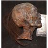 Image 1 : CRIMINAL MINDS MUMMY SCREEN USED ROTTEN CADAVER HEAD