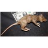 Image 1 : RAT PUPPET VERY LIFE LIKE WITH MAGNET IN MOUTH TO SECURE