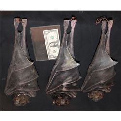 VAN HELSING 3 WIVES AS VAMPIRE BATS 1 HERO PUPPET AND 2 STATIC