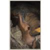 Image 1 : Jon J. Muth original painting 'The Morning'.