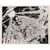 Image 1 : Alex Niño original unpublished portfolio plate artwork.