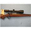 Image 2 : a5... Winchester model 70 bolt action floorplate 22 250 caliber comes with Burris drop tine rifle sc