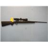 Image 4 : UU... Savage Model 111 calibre 7 mm Remington Magnum bolt action clip Bushnell scope synthetic stock