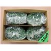 Image 1 : box with approximately 2000 paintball
