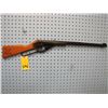 Image 1 : Daisy model 105B BBair gun