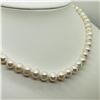Image 2 : Fresh Water Pearl (6 - 6.5Mm) 17 Inch With Clasp Necklace (~weight 27.49g), Suggested Retail Value $