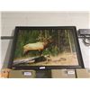 Image 1 : Framed Wildlife Artwork