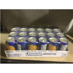 Case of OranginaSparkling Orange Beverage (24 x 355mL)