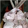Image 3 : 2 BOXES OF SHOP RAGS AND POSTERS