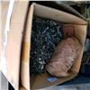 Image 2 : 4 BOXES OF SCREWS, CLIPS, AND MORE