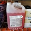 Image 1 : 4 JUGS OF RV PLUMBING ANTIFREEZE