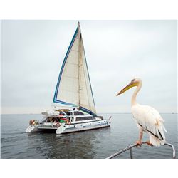 Catamaran Charters Dolphin Cruise for 2 people.