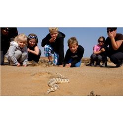 Living Desert Tour "The Little 5" for 2 people