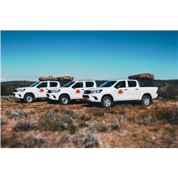 10-day car rental (fully camping equipped, fully insured, 4x4, for 4 people),