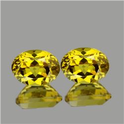 Natural Golden Yellow Beryl Heliodoor Pair 9x7 MM - FL