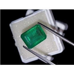 Natural Forest Green Emerald 8.00 Ct