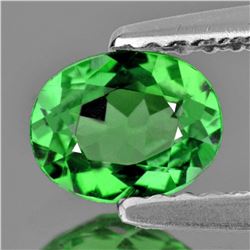 Natural AAA Green Tsavorite Garnet {VVS}