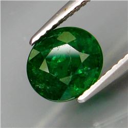 Natural Top Green Tsavorite Garnet 2.58 Cts