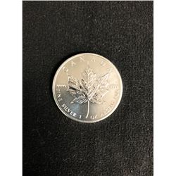 2012 CANADA 1oz .9999 Fine Silver Maple Leaf Coin