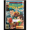Image 1 : THE AMAZING SPIDER-MAN #169 (MARVEL COMICS)