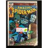 Image 1 : THE AMAZING SPIDER-MAN #181 (MARVEL COMICS)