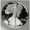Image 1 : 1989 AMERICAN SILVER EAGLE