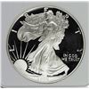 Image 1 : 1995 AMERICAN SILVER EAGLE