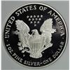 Image 2 : 1996 AMERICAN SILVER EAGLE