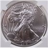Image 1 : 2019 AMERICAN SILVER EAGLE