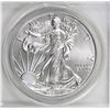 Image 1 : 2013-W AMERICAN SILVER EAGLE