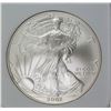 Image 1 : 2007-W AMERICAN SILVER EAGLE