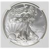Image 1 : 2015 AMERICAN SILVER EAGLE