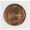 Image 2 : 1905 INDIAN CENT