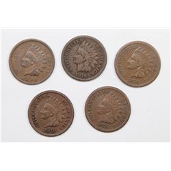 (5) INDIAN HEAD CENTS