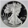 Image 1 : 2016-W AMERICAN SILVER EAGLE