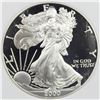 Image 1 : 2000-P AMERICAN SILVER EAGLE